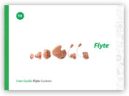 Flyte custom guide